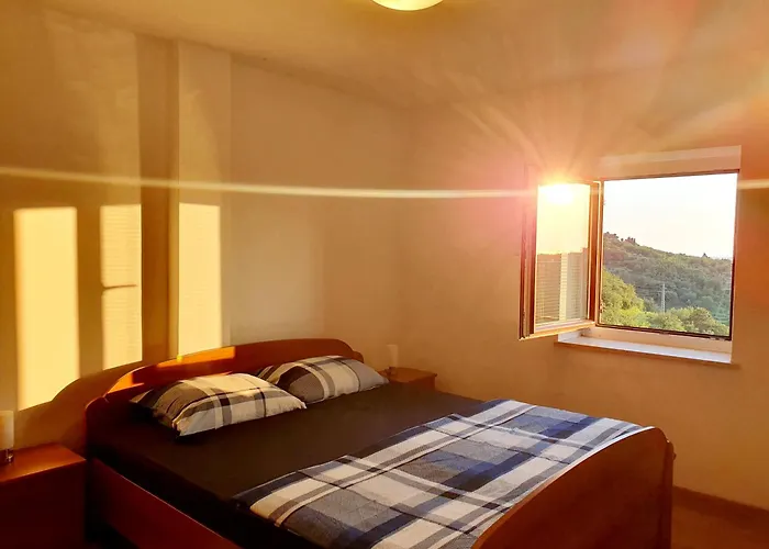 Forrest Apartment